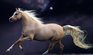 53岁属什么生肖 岁数53的对应生肖