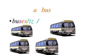 bus复数 bus的意思