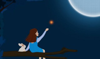 思念情人失眠的诗句 有什么体现的诗