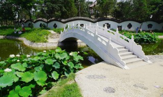 荷花池的地点 以什么得名