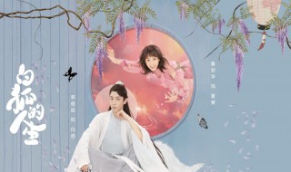 白狐的人生电视剧大结局 白狐的人生简介