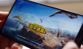 和平精英训练场哪里有吉利服 训练场雪地吉利服位置