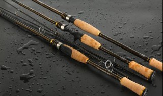 路亚鱼竿怎么使用 路亚竿钓鱼得这么用才对