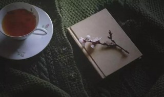 致背后乱嚼舌根的名言 谣言止于智者