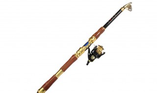 海钓竿使用方法 轻松学会