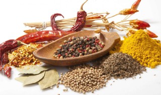 昆明吉鑫调味品有限公司地址 你知道在哪里吗