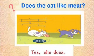 does怎么读 do和does的区别