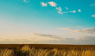 6字唯美短句 唯美大杂烩