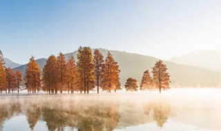 深秋初冬唯美的诗句 愿你温暖如初