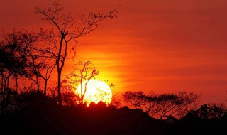 最美不过夕阳红原唱 关于这首歌的歌词