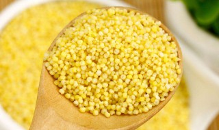 大黄米和小米的区别 小米功效是什么
