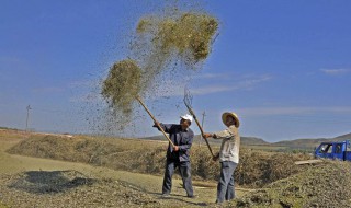 庄稼人原唱 大家可以去听听