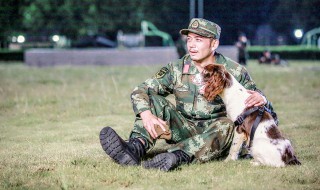 神犬奇兵主演 主演简介