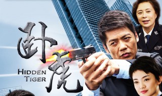 卧虎电视剧大结局 金队的结局是什么