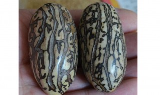 千眼菩提盘玩方法 超简单的方法