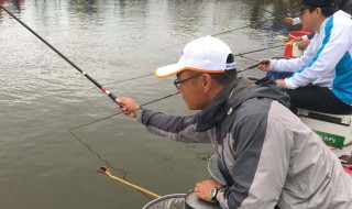 冬季抛竿钓鲤鱼方法 你学会了吗