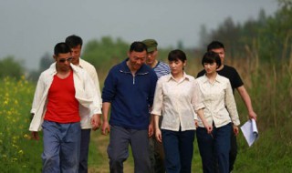 知青家庭电视剧演员表 列出如下三个主要演员