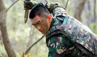 高胜寒是哪部电视剧 关于这部电视剧的简介