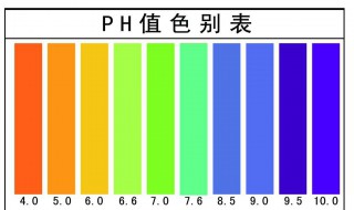 用什么除碱最好 碱性的定义