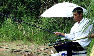 伐钓鱼方法 你懂多少