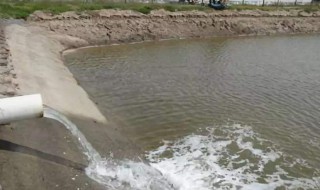 池塘漏水怎么处理 池塘漏水要怎么做