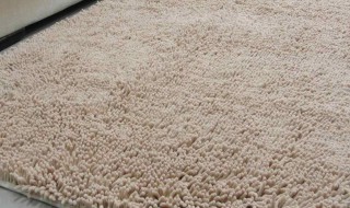 地毯怎么清洗 地毯清洗的方法