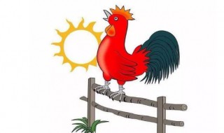 公鸡戴帽子的歇后语是什么 和公鸡有关的歇后语