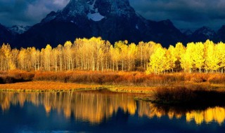 长夏是什么时候 下面就告诉大家