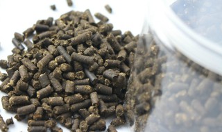 菜籽饼如何发酵成肥料 你知道吗