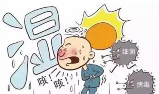 夏季排湿寒的最佳方法 吃什么东西简单又有效