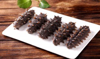 海参什么人不适合吃 五大禁忌人群不宜吃海参