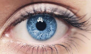 保护眼睛方法 分享5个日常护眼的方法