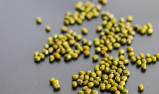 种绿豆方法 绿豆怎么种