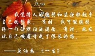 一句话一生随 一句话一生随分享