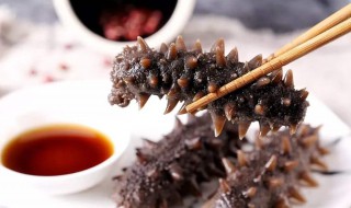 海参不适合什么样的人吃 这五类人不能吃海参