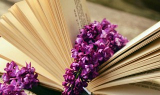 励志晚安语录正能量短句 励志晚安句子