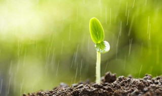 英文雨天说说心情短语 英文雨天说说心情短语 有哪些