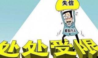 被执行人是公司什么人 被执行人简介