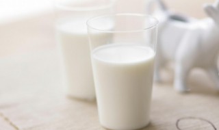 为什么空腹不能喝牛奶却可以喝奶粉 空腹能喝奶粉的原因