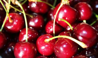 和樱桃长得像的水果叫什么 和樱桃长得像的水果简介