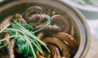 黄鳝怎么养不会死掉 黄鳝怎么养在家里不会死掉