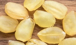 皂角米过期了可以吃吗 皂角米过期了可不可以吃