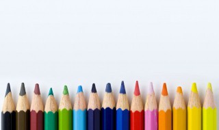 艺术细胞是指什么 艺术细胞是指那些