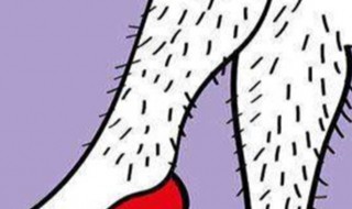 脚毛长代表什么意思 脚毛长是什么意思