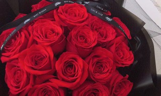 玫瑰19朵是什么意思 玫瑰19朵的含义