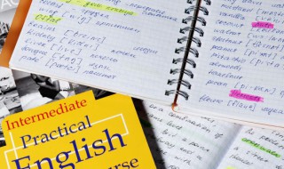 electronic什么意思 electronic翻译