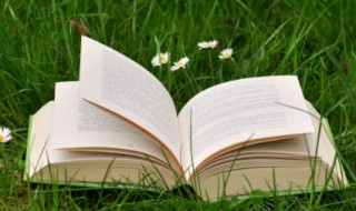 preserve是什么意思 preserve的翻译