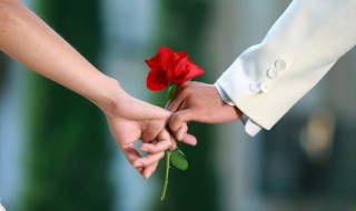 最美爱情诗句经典语录 关于爱情的诗句