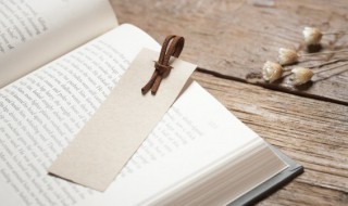 一切美好如期而至是什么意思 一切美好如期而至的解释