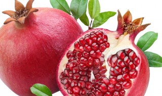 石榴的寓意和象征是什么 石榴的寓意和象征是啥